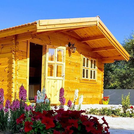 ホテル Cyprus Glamping Park Agios Theodoros エクステリア 写真