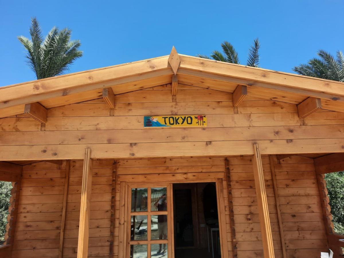 ホテル Cyprus Glamping Park Agios Theodoros エクステリア 写真