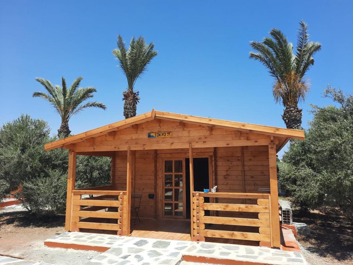 ホテル Cyprus Glamping Park Agios Theodoros エクステリア 写真