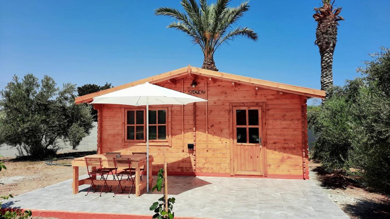 ホテル Cyprus Glamping Park Agios Theodoros エクステリア 写真